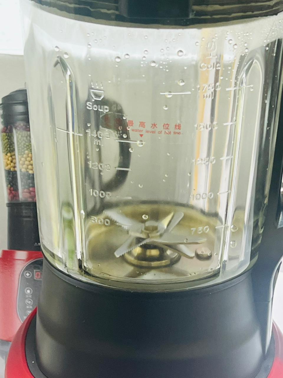 Royeslter Multifunction Digital Blender, Soup maker and Kettle