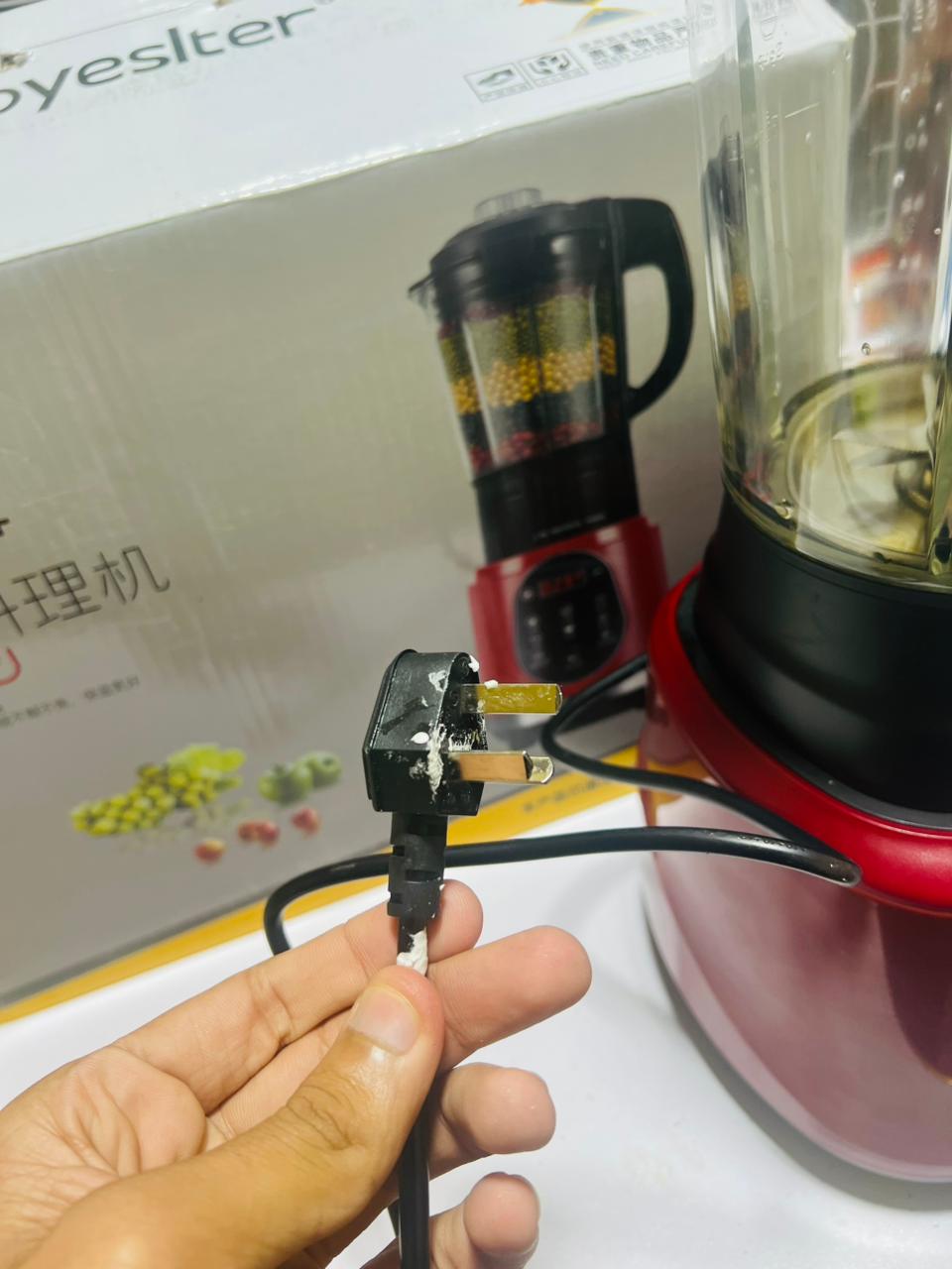 Royeslter Multifunction Digital Blender, Soup maker and Kettle