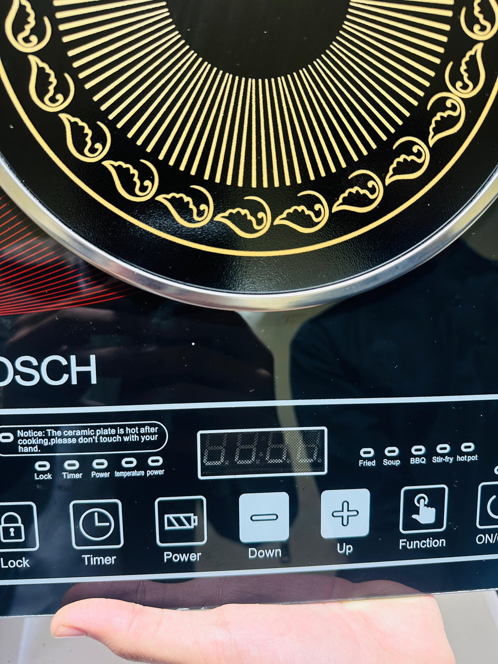 Bosch 2200 Watts | Made in Germany | Fused Switch | 1 year Warranty